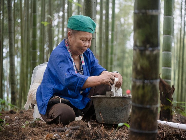 Sức khỏe - Bí kíp khiến cụ bà sống trường thọ dù bị ung thư gan