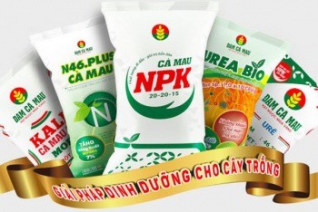 Phân bón Cà Mau – bạn đồng hành thiết thực của nhà nông