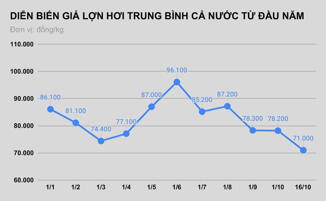 Ha Nam bac tin ban lon hoi gia 55.000 dong/kg anh 1