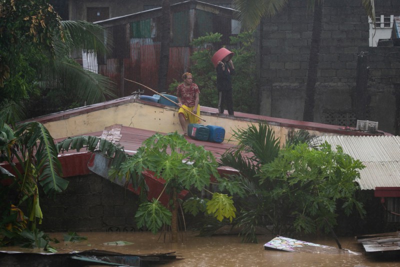 bao Vamco nhan chim thu do Philippines anh 12