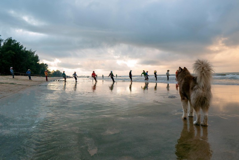 cam trai binh thuan anh 12