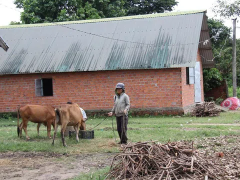 Quỹ nhân ái tặng 1000 suất quà cho hộ nghèo tại Đăk Lăk