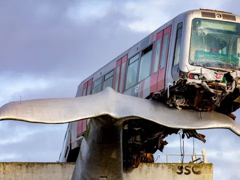 Tượng đuôi cá voi khổng lồ cứu tàu metro vào top ảnh tuần