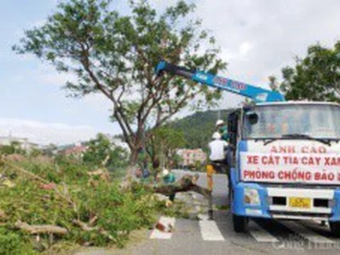 Đà Nẵng: Hoàn thành công tác chuẩn bị, ứng phó với bão số 13 trước 15 giờ ngày 13/11