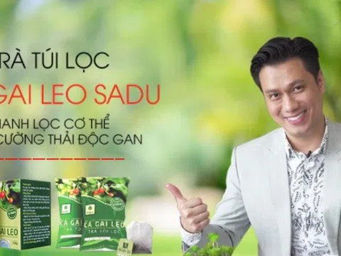 Trà túi lọc cà gai leo SADU: Sản phẩm OCOP được người tiêu dùng tín nhiệm