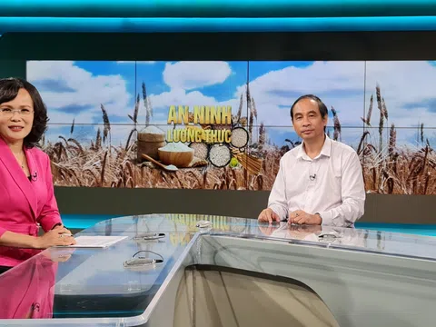 PGS.TS Đào Thế Anh chia sẻ về "An ninh lương thực toàn cầu" với VTV1