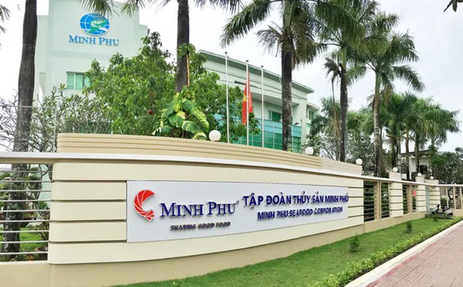 Công ty mẹ Minh Phú (MPC): Lãi 9 tháng giảm 14%, vốn hóa TTCK “bốc hơi” hơn 900 tỷ đồng sau một tháng