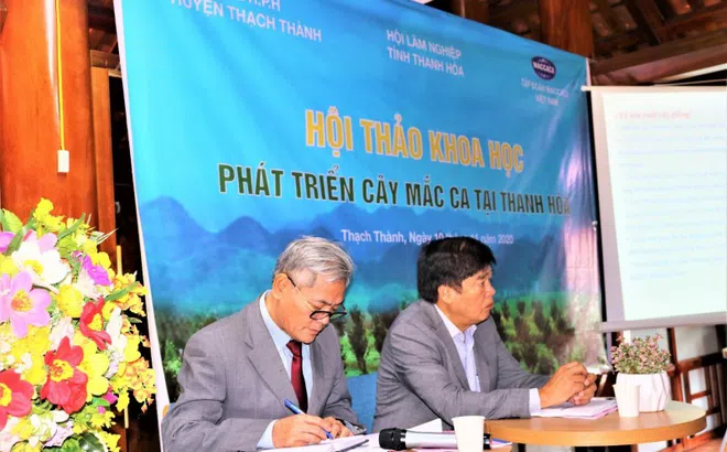 Hội thảo khoa học phát triển cây mắc ca tại Thanh Hóa