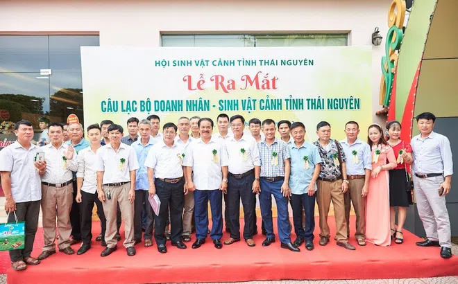 Doanh nhân Sinh Vật Cảnh tỉnh Thái Nguyên khẳng định vị thế mới